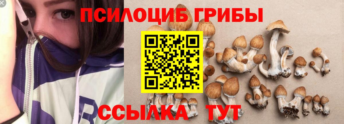 Псилоцибиновые грибы Psilocybine cubensis Рассказово