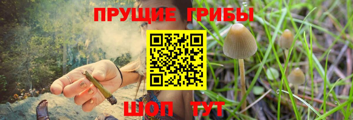 Псилоцибиновые грибы мицелий  Вход с VPN  Рассказово  Галлюциногенные грибы Psilocybe 